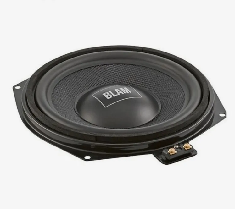 СЧ/НЧ динамик BLAM BM 200W - фото