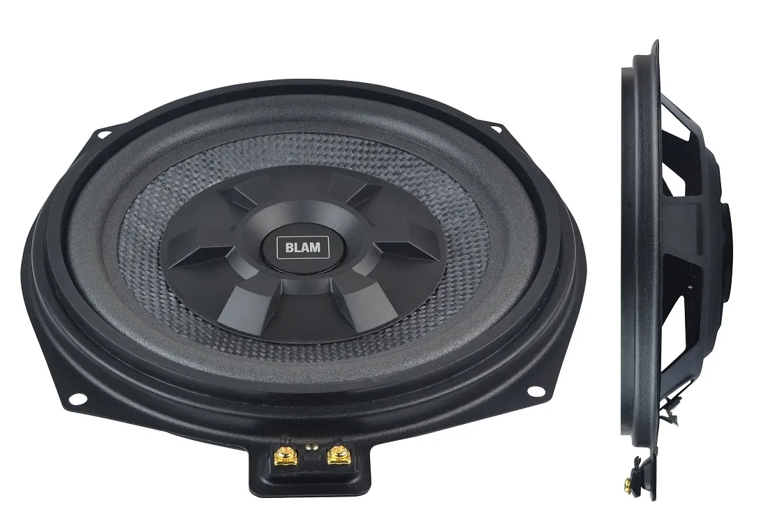 СЧ/НЧ динамик BLAM BM 200 XF - фото