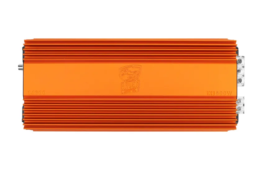 Усилитель 1-канальный DL Audio Raven Compact 1.1600 - фото