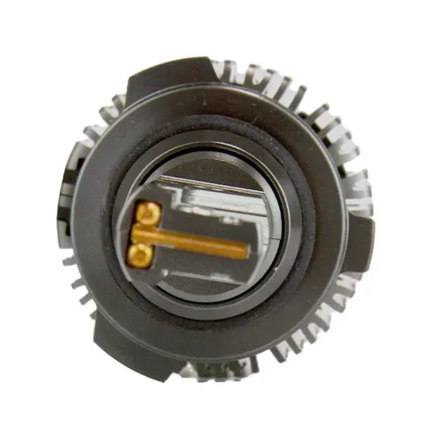 изображение_2024-02-14_010747797