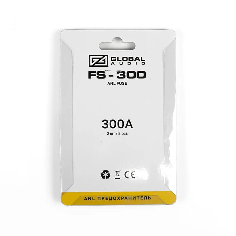 fs 300 2