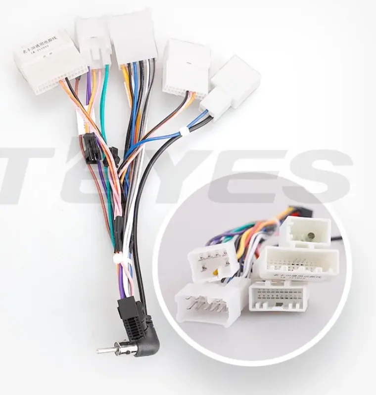 изображение_2024-11-08_031037417