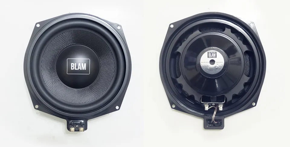 СЧ/НЧ динамик BLAM BM 200W - фото