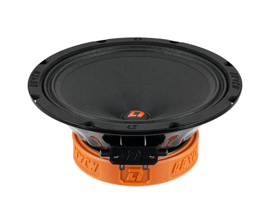 СЧ динамики DL Audio Raven 200 V.2 - фото