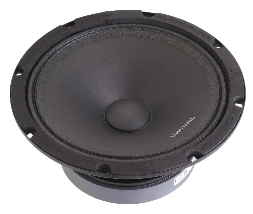 изображение_2024-06-13_052844526