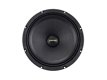 СЧ динамик SWAT REV-65Pro v.2